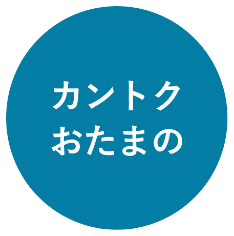 カントクおたまの